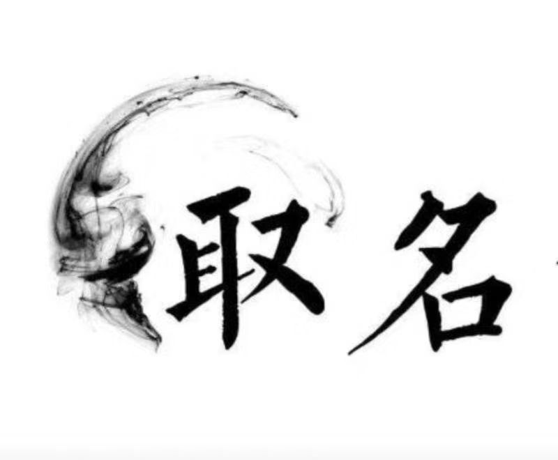  延津宝宝取名 大师一对一人工起名